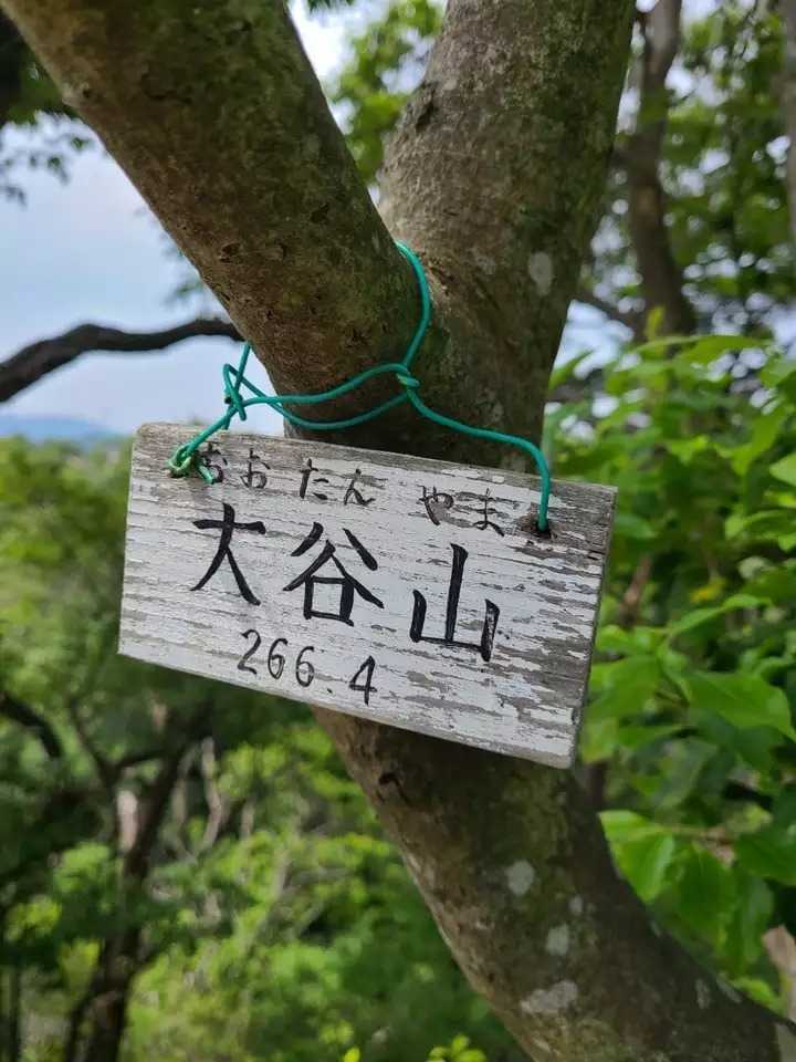 大谷山の写真