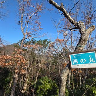 🙌
今日は4座でした👏