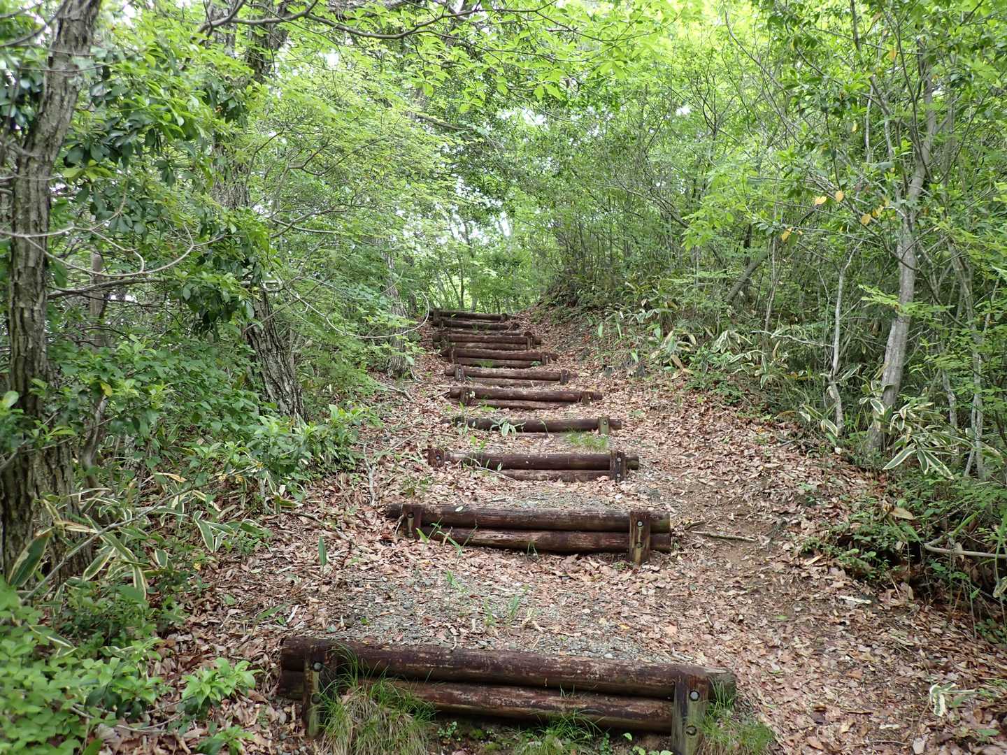 葦嶽山 往復コースの写真