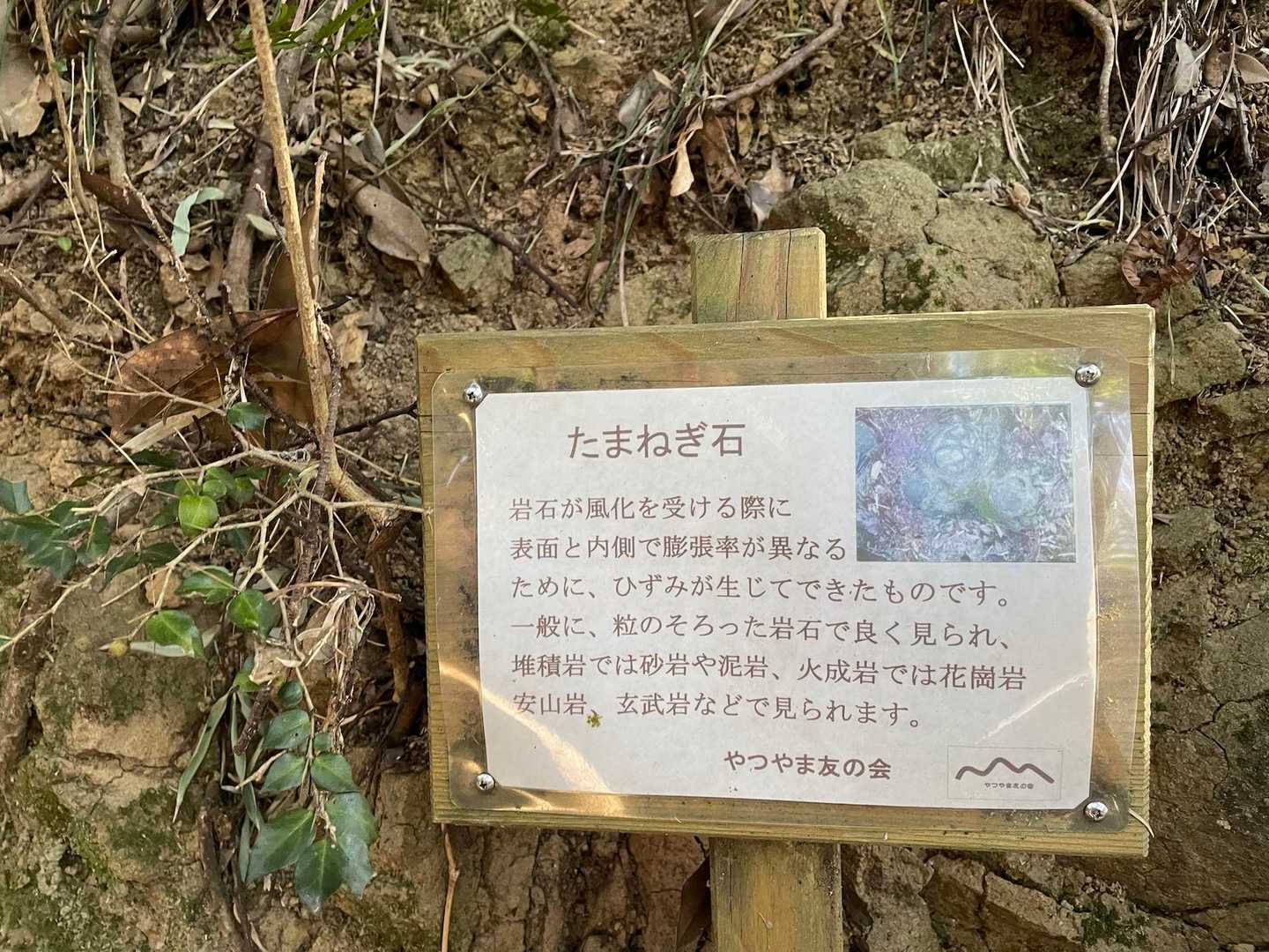 玉ねぎ石