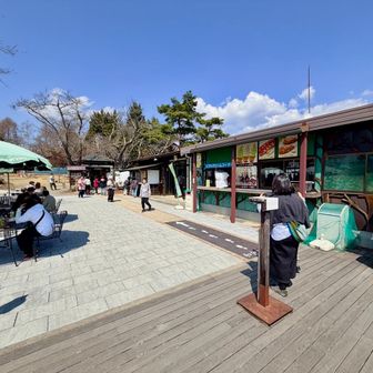 ロープウェイのパノラマ台駅に到着。
食堂やお土産屋などがあります。
ベンチも多数。