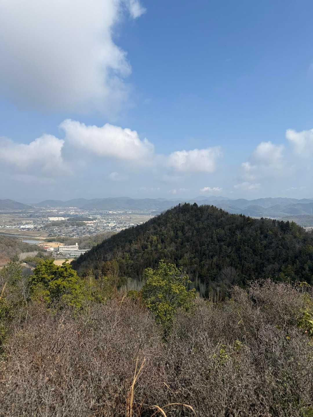 新庄山登り口-高尾山-大山-シャシャ木山登り口 周回コースの写真