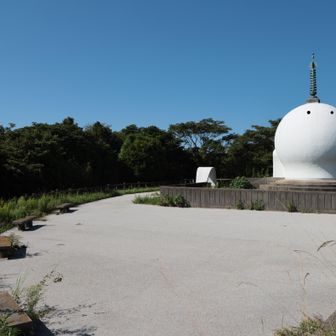 ちょっと目を付けてみた
カワイイ
罰当たりなことしてゴメンナサイ
