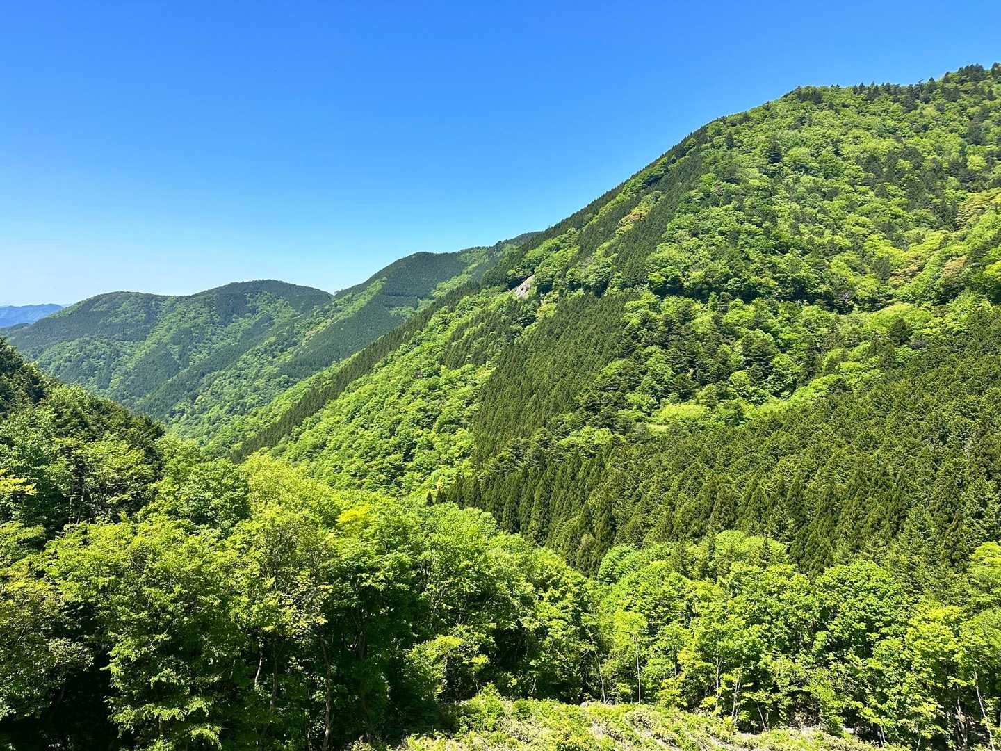 白草山登山口-白草山 往復コースの写真