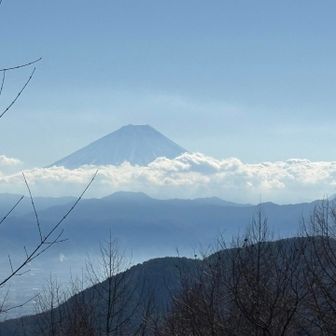 そして南には富士山まで！