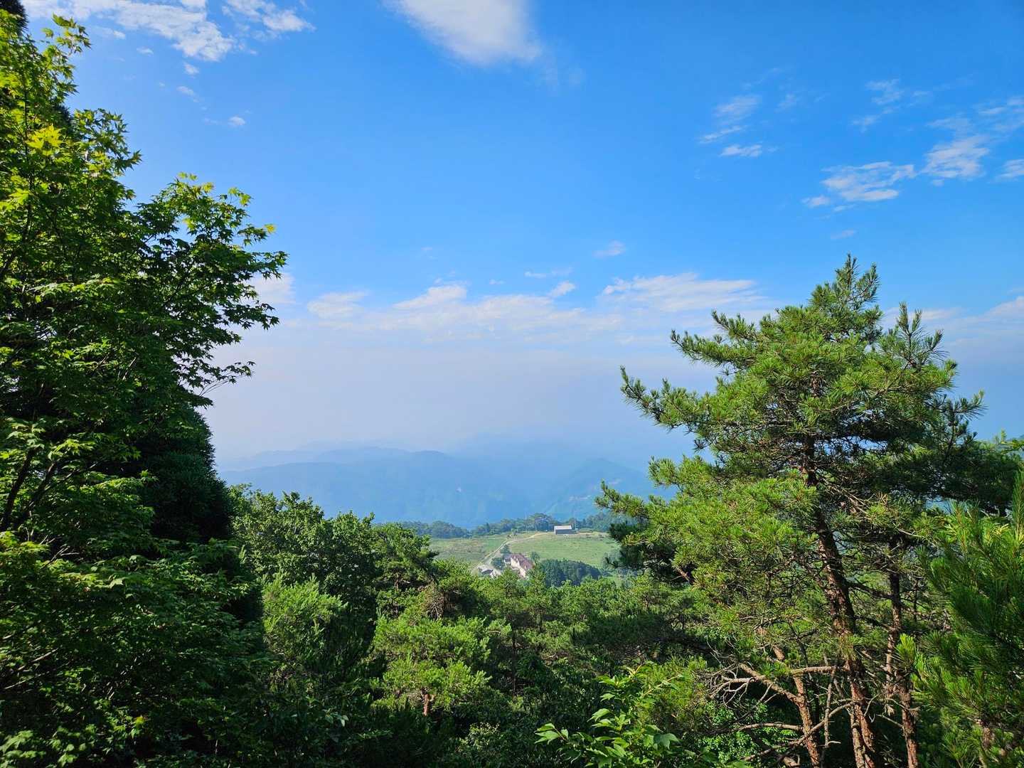 青空大好きだけど、暑い。
暑いんじゃ。