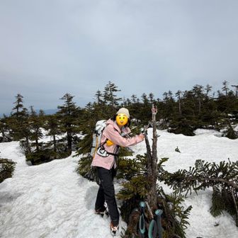 西吾妻頂上 噂通りのピンテ🎀 先っぽ折れてるし。