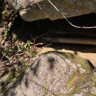 岩の隙間に🪨
ツルハシ、スコップはここで出番を待ち続けてます🪏⛏️