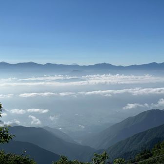 富士山がうっすら見えました！
