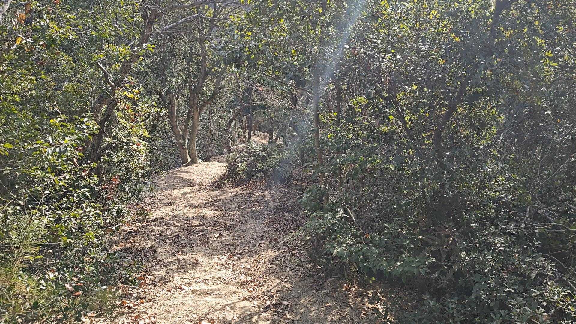 山陽側の岩山に来た！って感じ