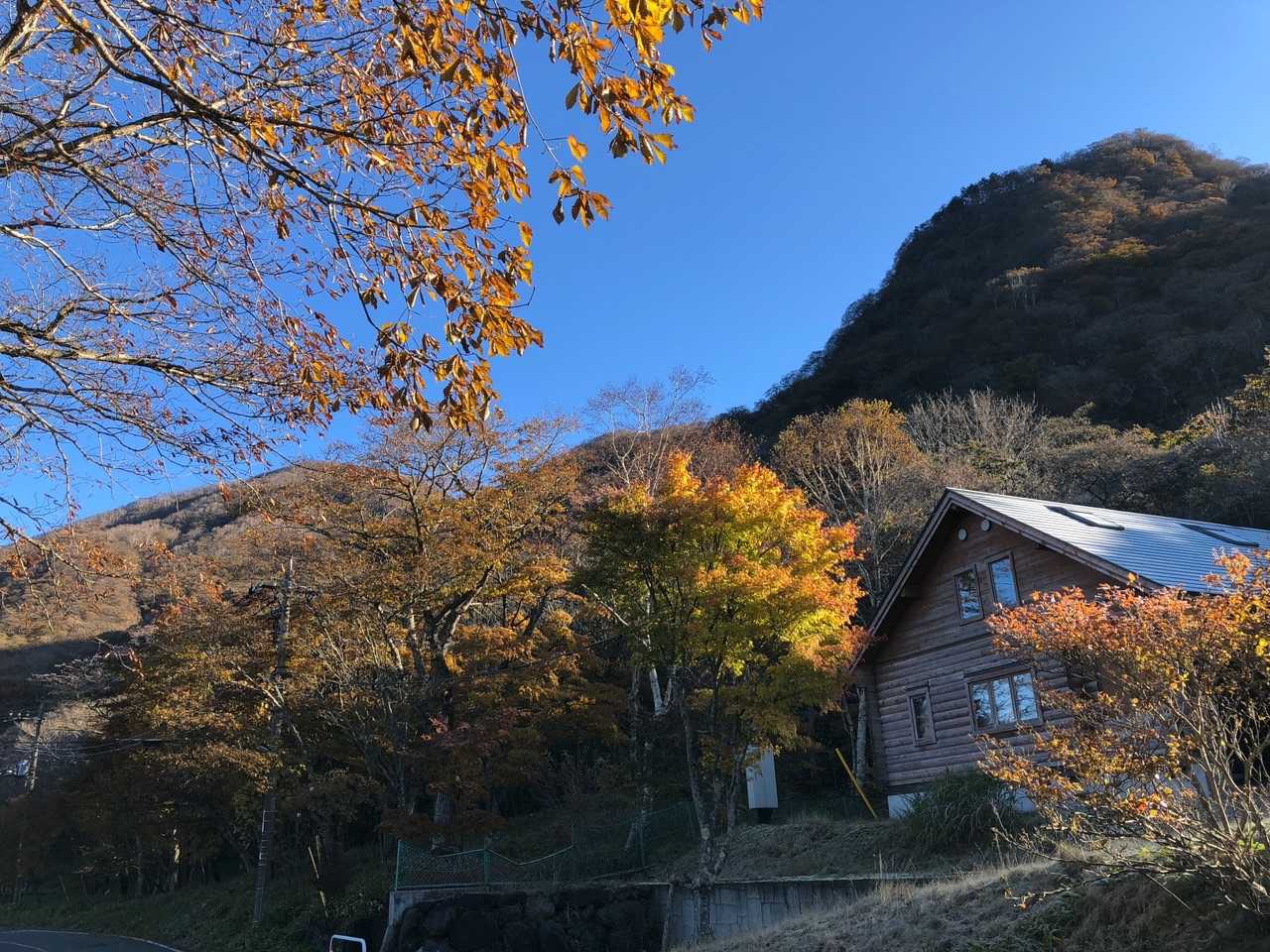 おのこ駐車場は満車でした
紅葉してますね