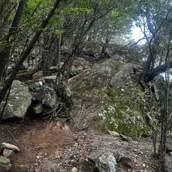 お待ちかねの岩場