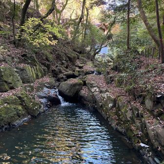 東海自然歩道を歩いて行きます