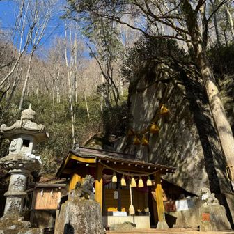 3周しました　右の木は御神木