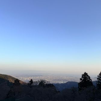 夜景はもういい、お腹すいた、だって。
