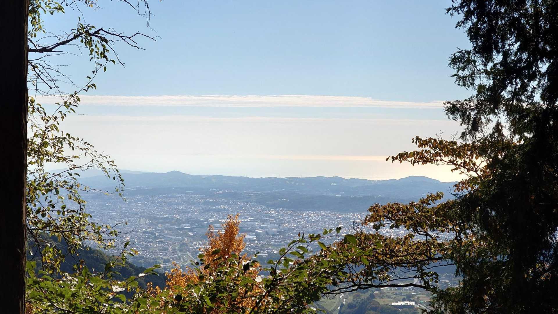 寄バス停-櫟山-栗ノ木洞-後沢乗越-鍋割山 往復コースの写真