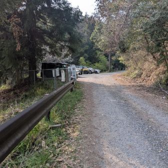 無事下山。もうすぐ駐車場です。
朝よりだいぶん車減ってるようでした😅
