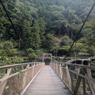 吊り橋
美しくてずっと見てられる