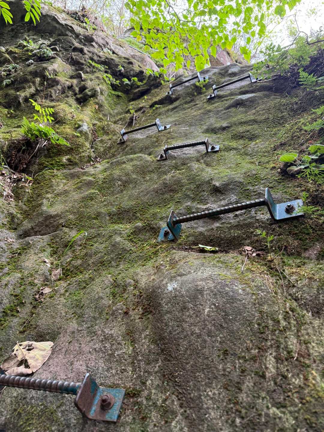 田原山 往復コースの写真