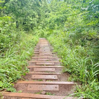 大垂水峠方面へ