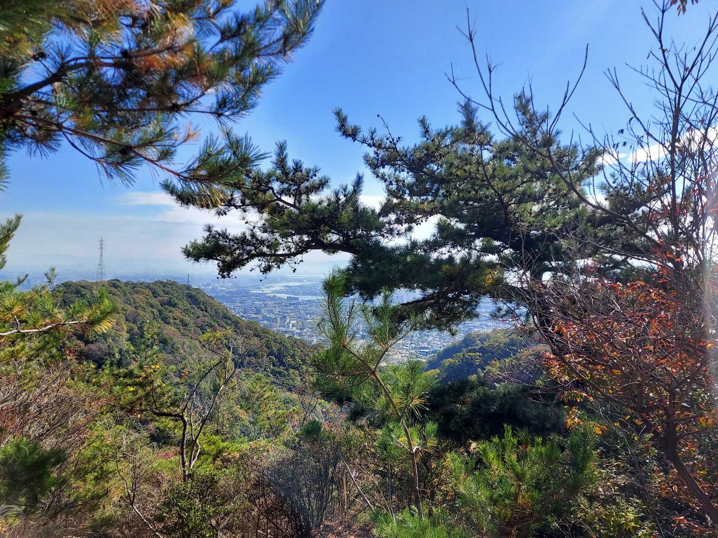紅葉がもう少しかな
