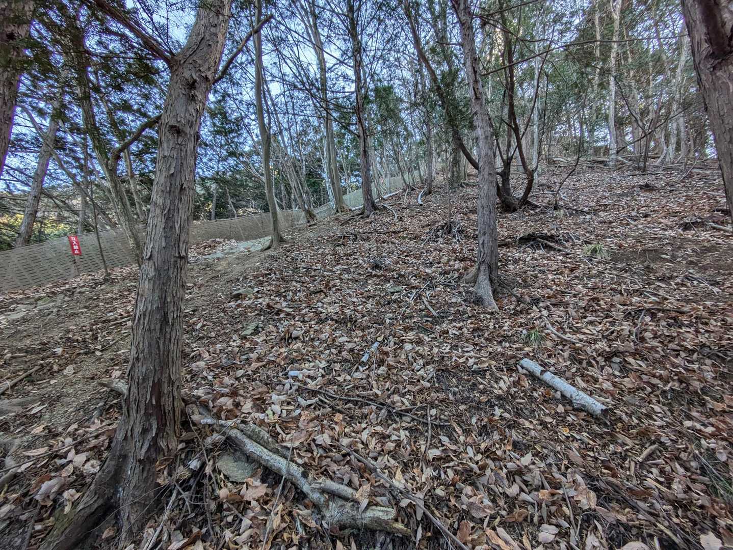 落ち葉だらけの斜面を登ります