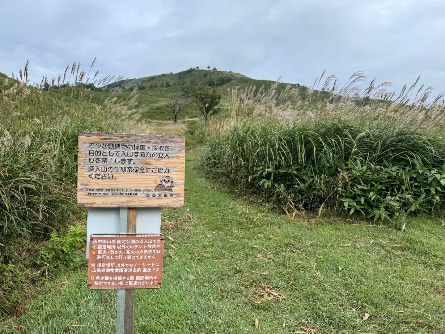 自然を大切に🤗✨
