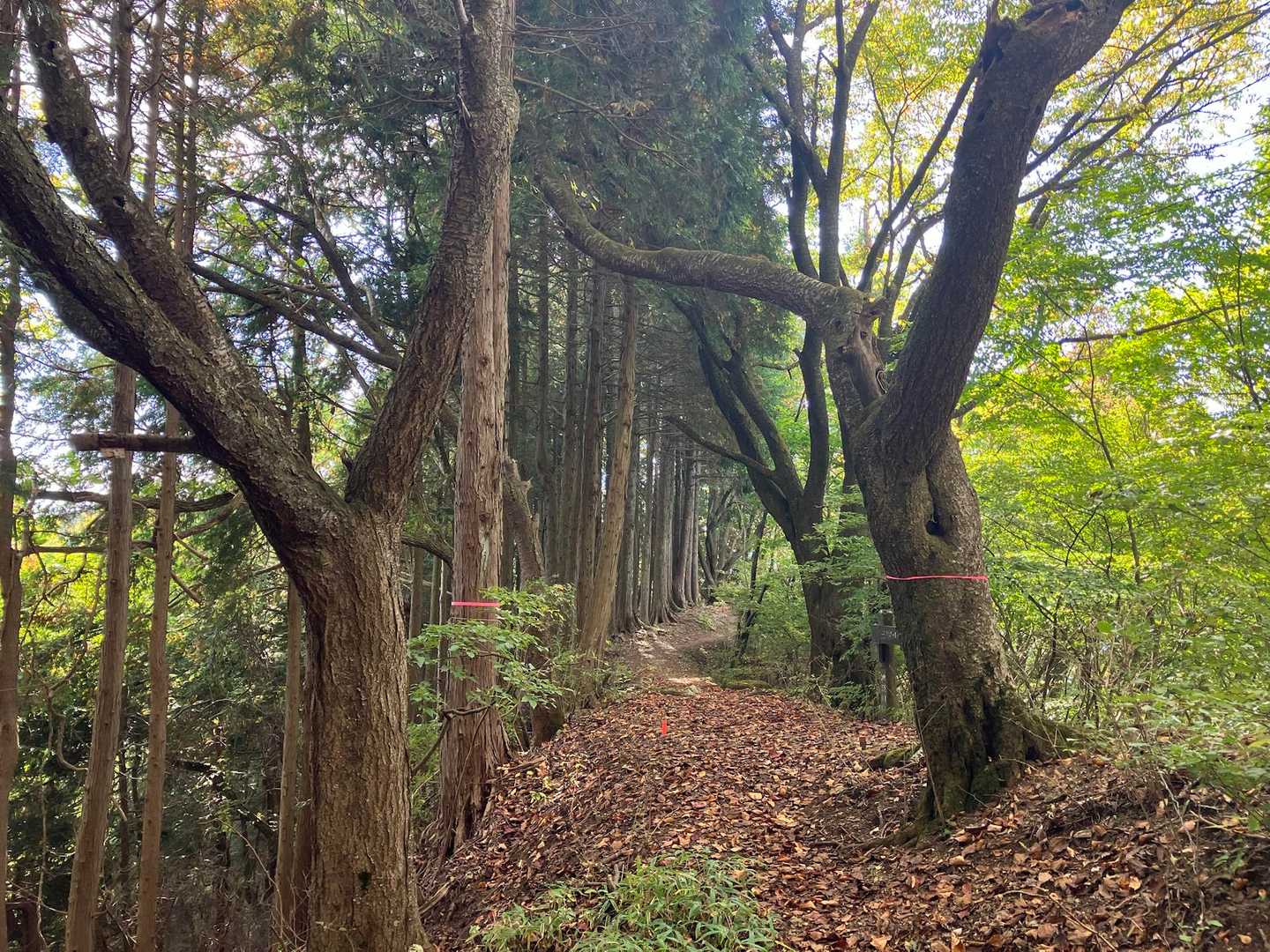 休憩したら帰ります、