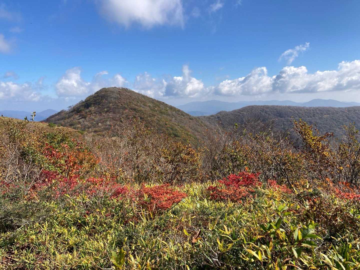 比婆山-池ノ段-立烏帽子山 周回コースの写真