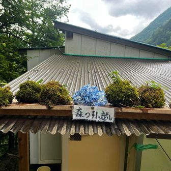 森の引越し
