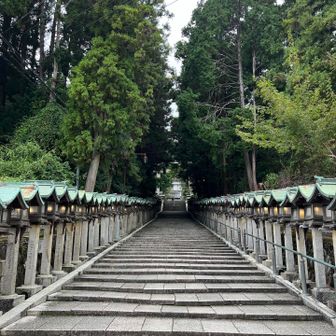灯籠に灯りがともってます