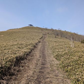 東屋でおやつタイム🍘