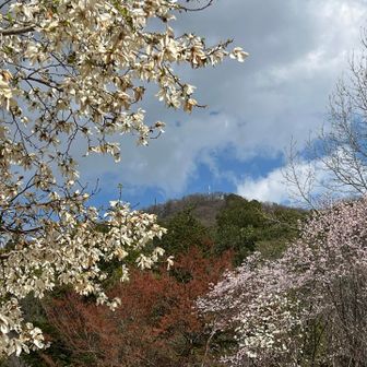 ハーブ園から青竜ヶ岳