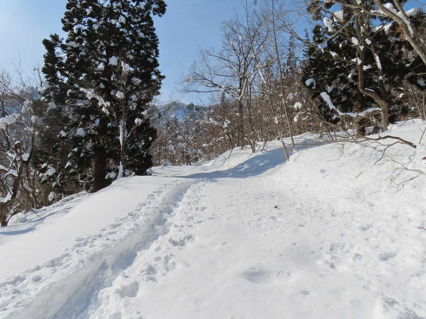 トレースは羽山へ