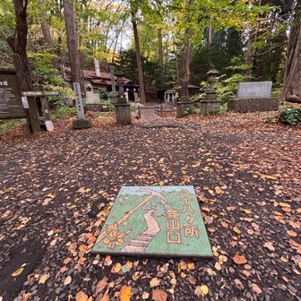 スタートします🍁