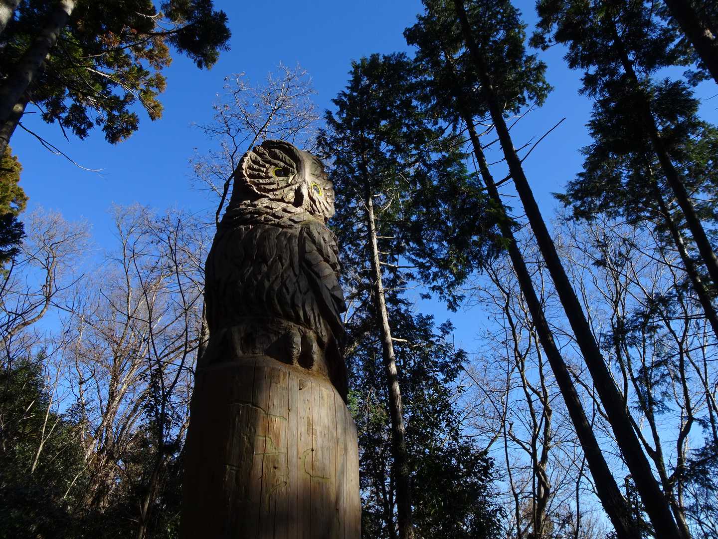 フクロウさんにも遭遇！
根本にも何やら彫ってあるそうですよ