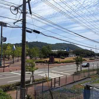 登山口から運動公園を見る。もう少し右のほうにバス停がある