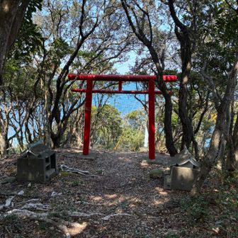 赤い鳥居　うっかりして道を間違えた。
こちらを通ると蒲生田岬灯台をパスすることになる。
先ほどの椿泊漁協の祠の辺りまで戻り東側へ下ります。