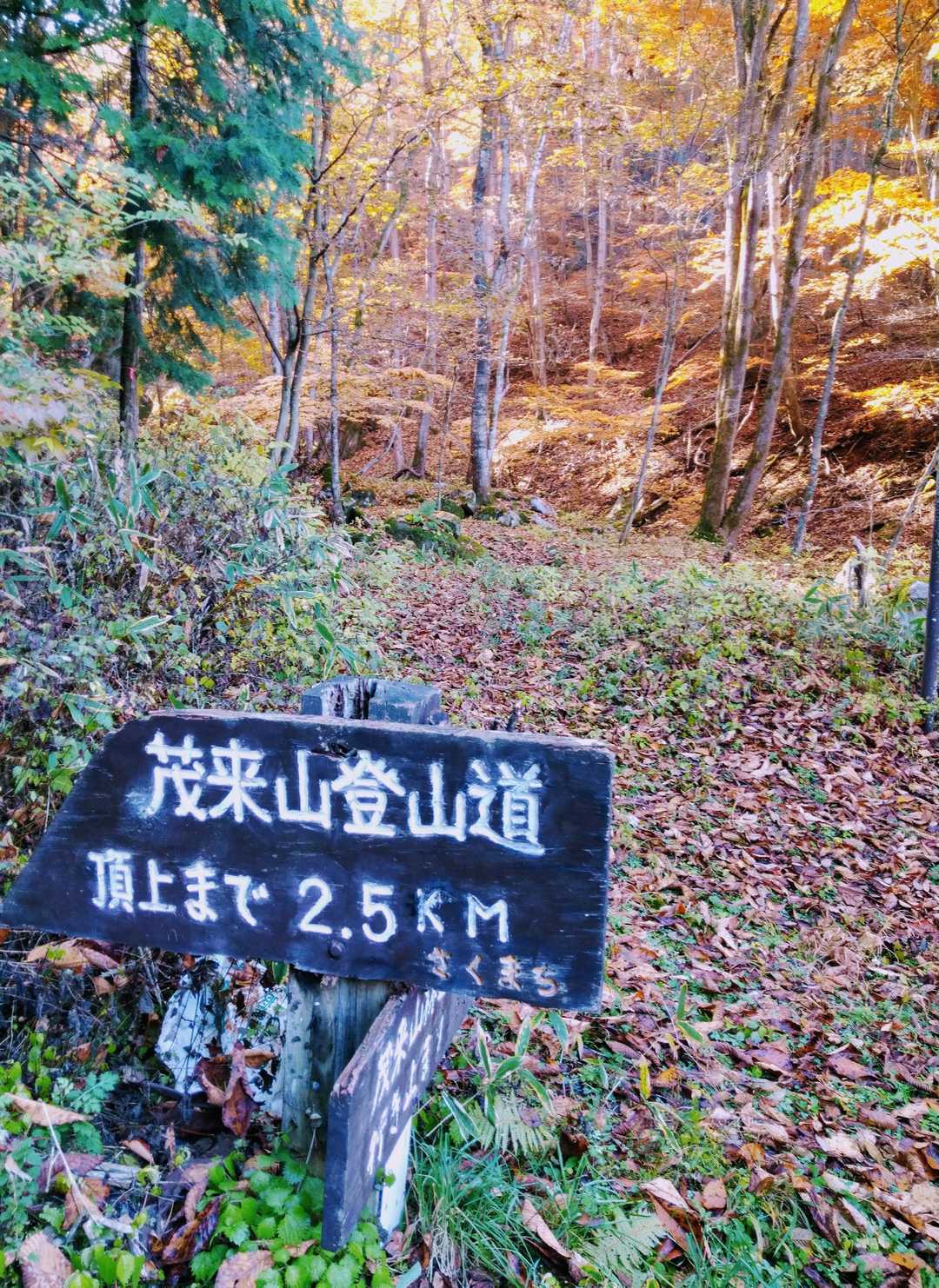 槇沢コースからのスタートです
