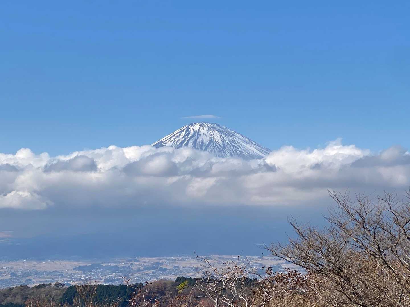 矢倉岳 地蔵堂より周回 / mahmoのハイキングデータ | YAMAP / ヤマップ
