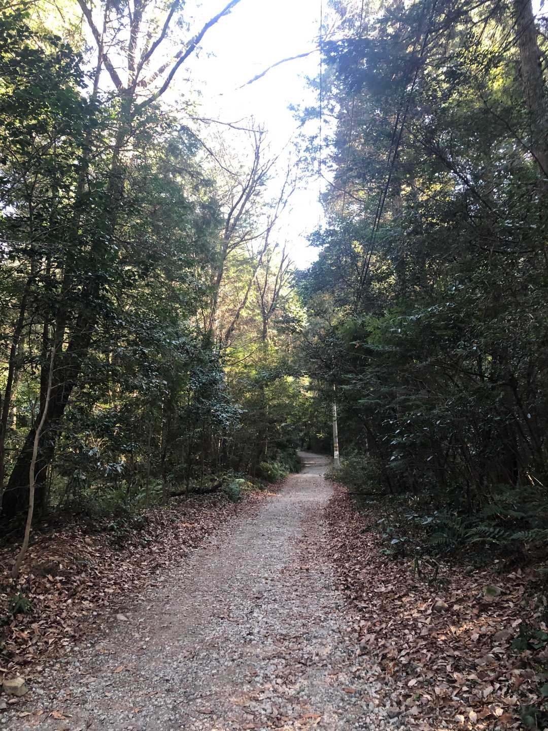 尾張本宮山 往復コースの写真