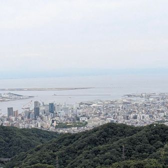 平日だと、人少ないからまったりできる😊😊
静かな時間、ウグイスとホトトギスの鳴き声だけが聞こえてくる🎵