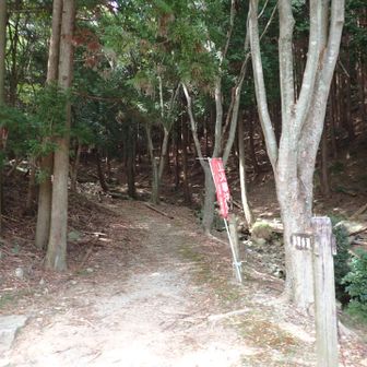 林間歩道登口まで下山しました