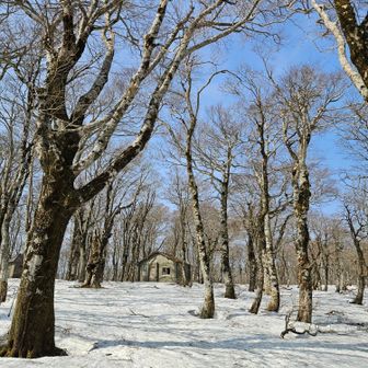 山小屋が遠くに見えた。