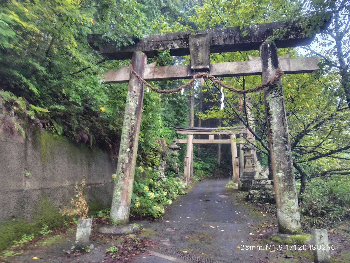 ここからは登拝