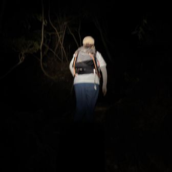 行きまーす