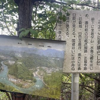 天気がいい日はアルプスも。この日は高曇りで見えませんでした