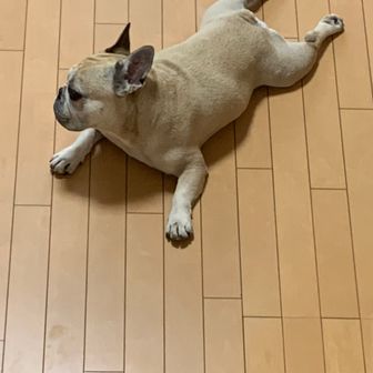 greenmoonきくちゃん