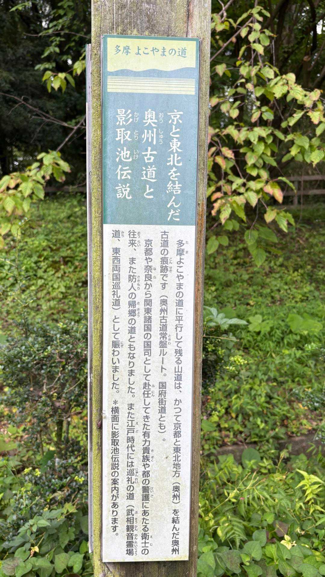 京と東北を結んだ、、って、どれだけログトレイル