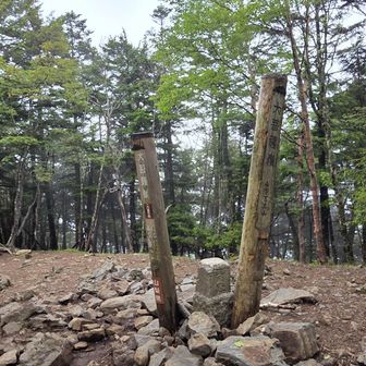 大菩薩嶺山頂。見晴らしはありません